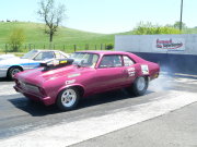 Magenta NOVA